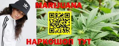 МДПВ Дубна