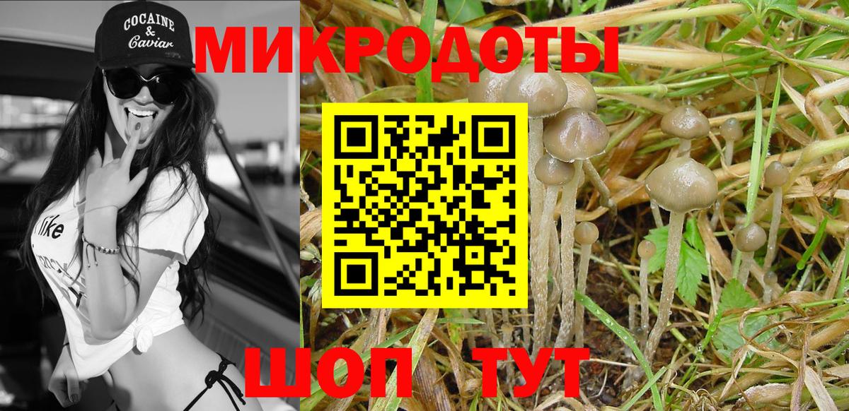 Галлюциногенные грибы MAGIC MUSHROOMS Надым