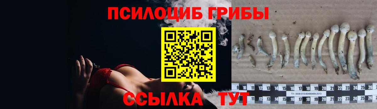 Надым  Псилоцибиновые грибы MAGIC MUSHROOMS  Вход с VPN 